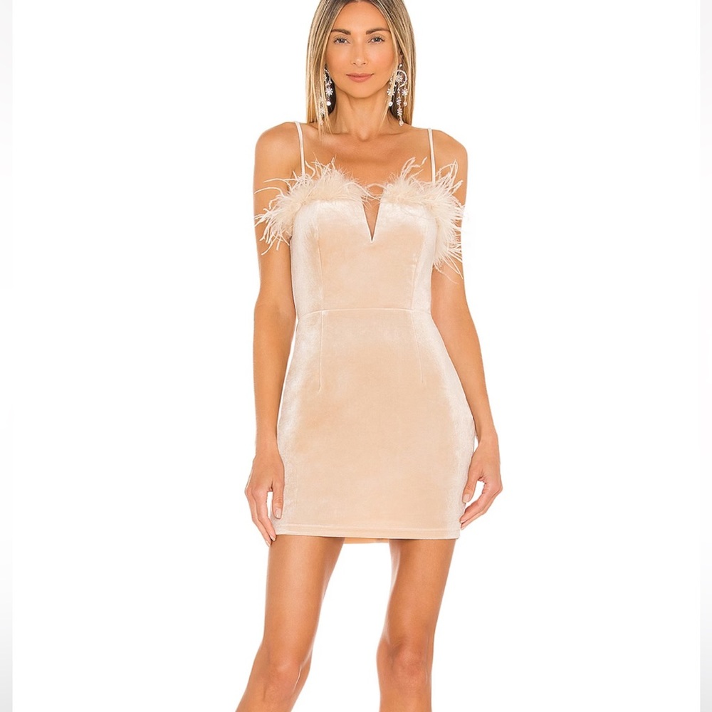 Revolve feather velvet dress size small